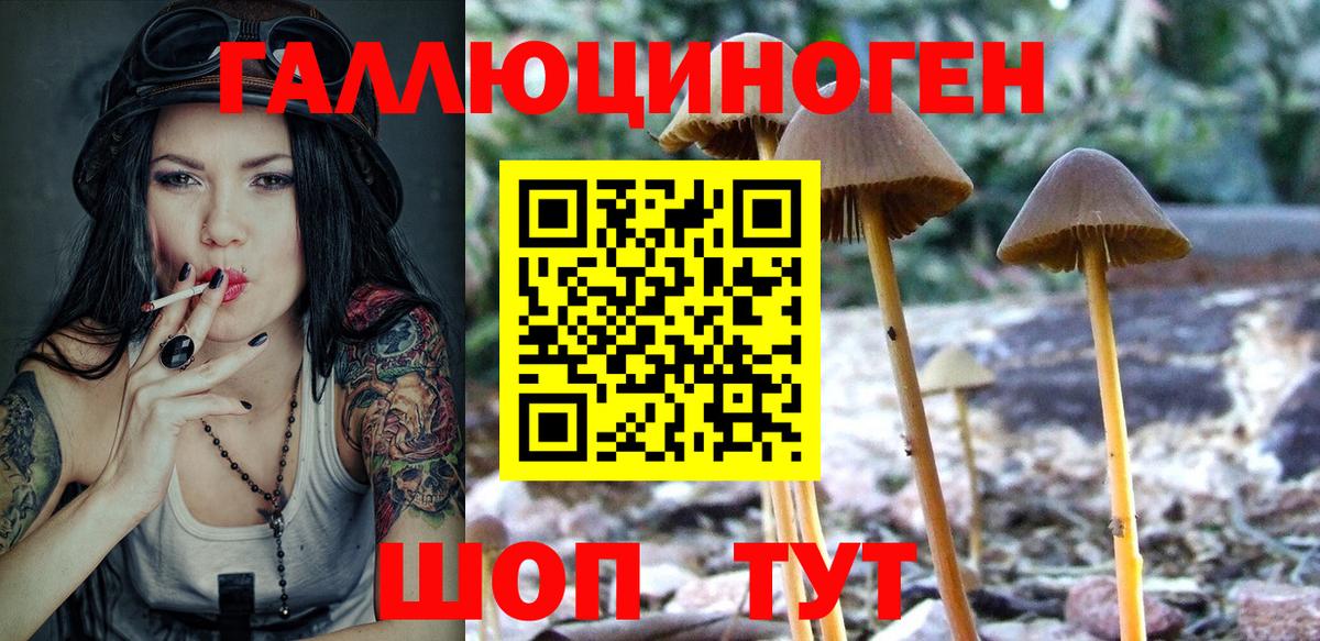 Псилоцибиновые грибы Psilocybe  Вход с VPN  где купить наркотик  Краснознаменск 